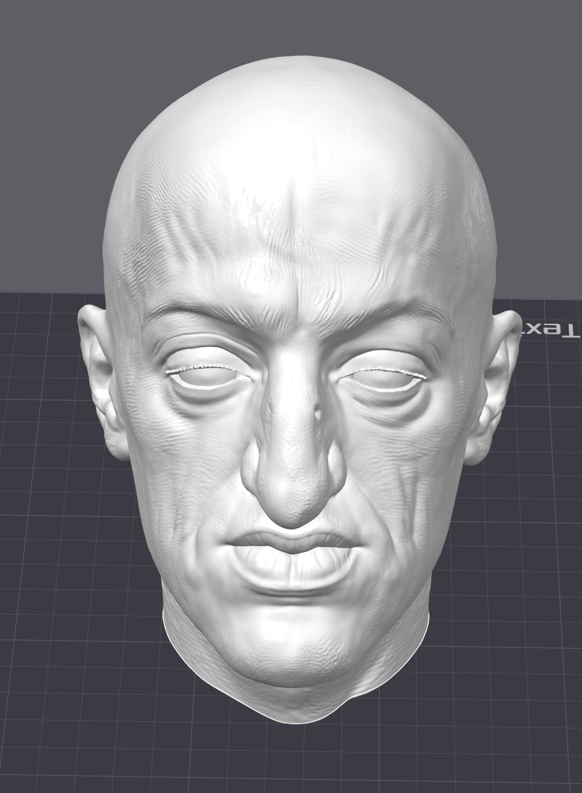 Busto de Carlos II, réplica escultórica a tamaño real
